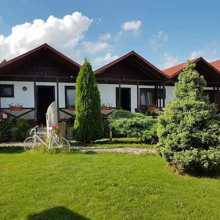 Pensiunea Valea Argesului Albestii Paminteni Dış mekan fotoğraf