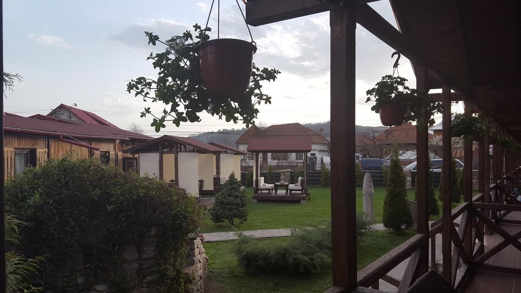 Pensiunea Valea Argesului Albestii Paminteni Dış mekan fotoğraf