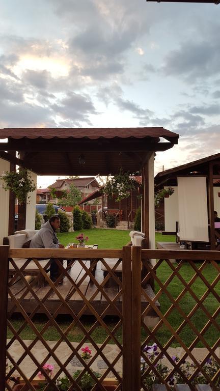 Pensiunea Valea Argesului Albestii Paminteni Dış mekan fotoğraf
