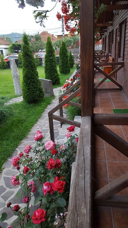 Pensiunea Valea Argesului Albestii Paminteni Dış mekan fotoğraf