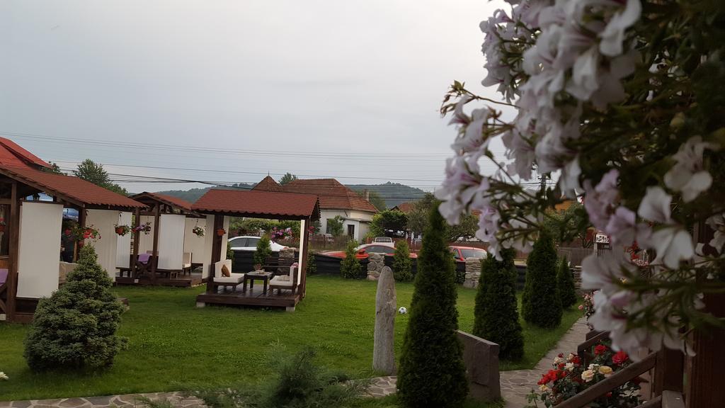 Pensiunea Valea Argesului Albestii Paminteni Dış mekan fotoğraf
