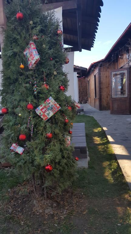 Pensiunea Valea Argesului Albestii Paminteni Dış mekan fotoğraf