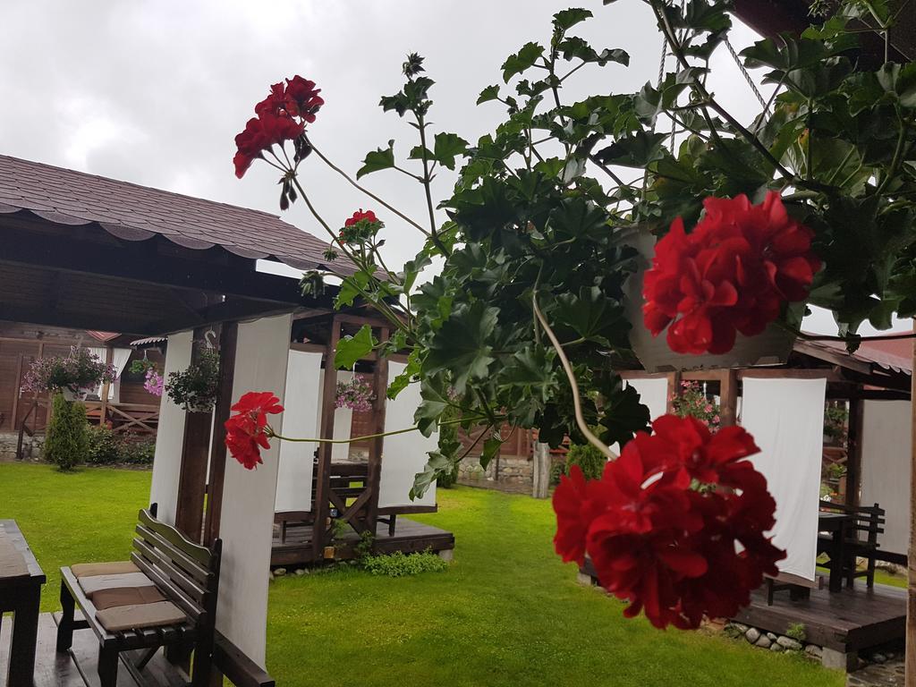 Pensiunea Valea Argesului Albestii Paminteni Dış mekan fotoğraf