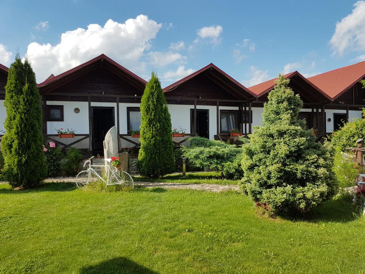 Pensiunea Valea Argesului Albestii Paminteni Dış mekan fotoğraf