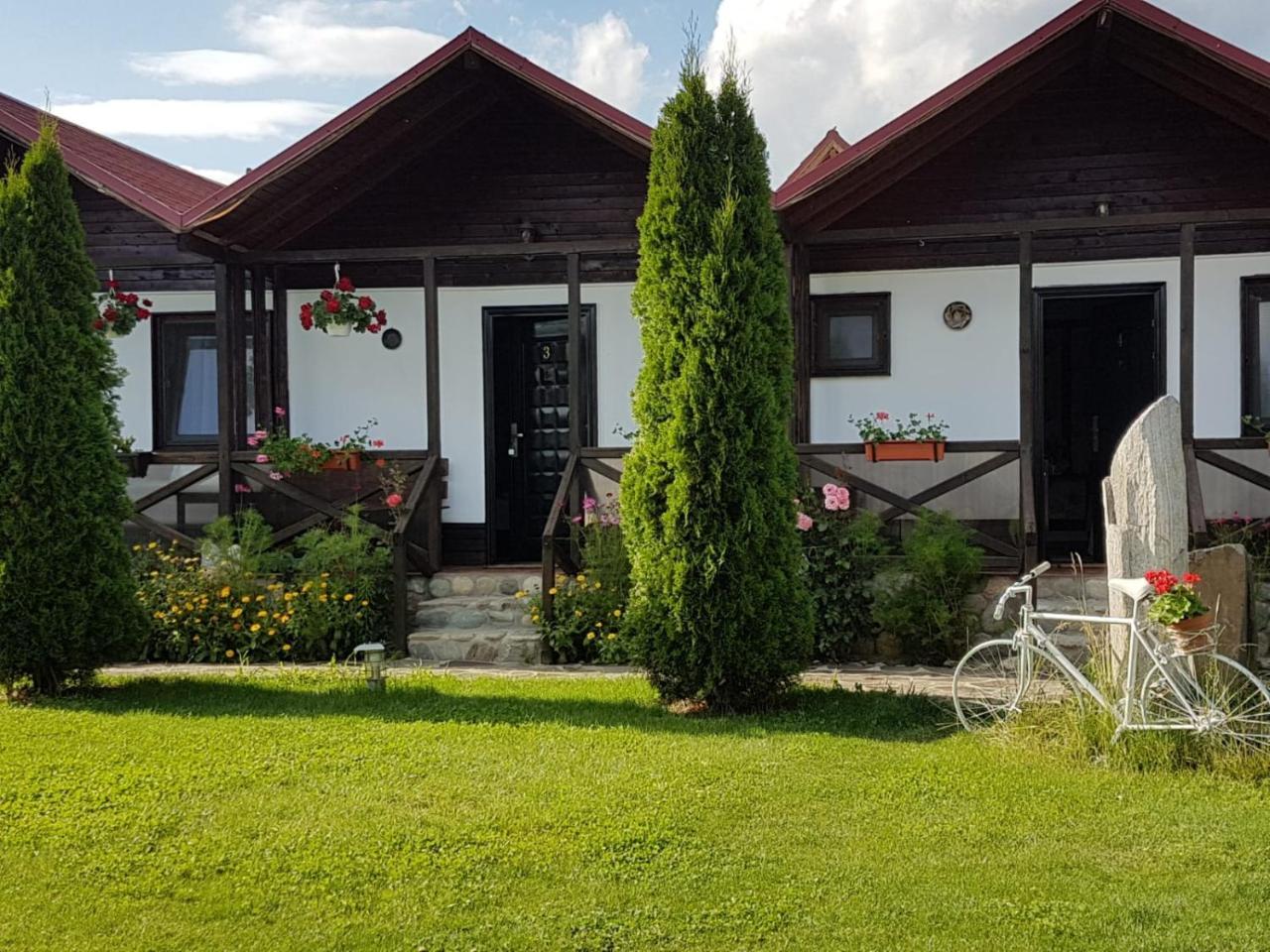 Pensiunea Valea Argesului Albestii Paminteni Dış mekan fotoğraf