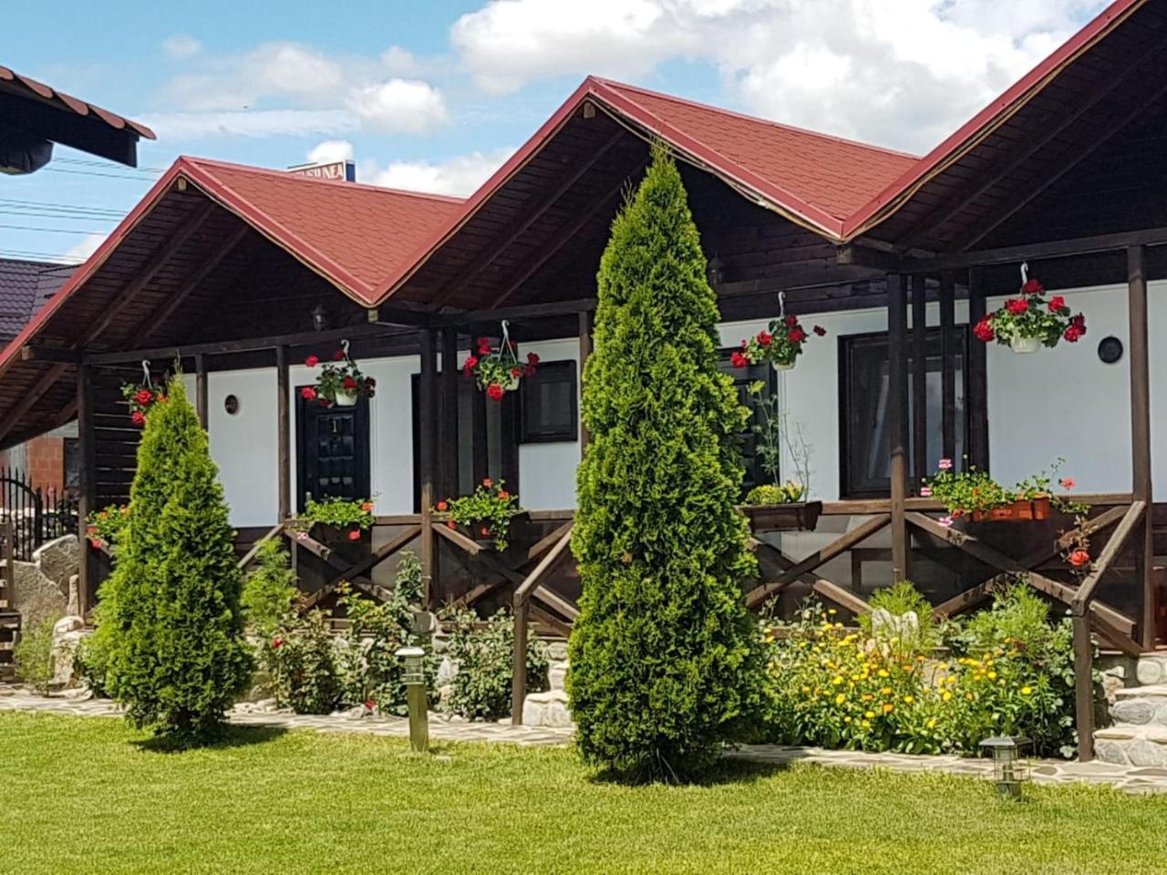 Pensiunea Valea Argesului Albestii Paminteni Dış mekan fotoğraf