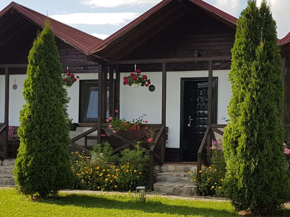 Pensiunea Valea Argesului Albestii Paminteni Dış mekan fotoğraf