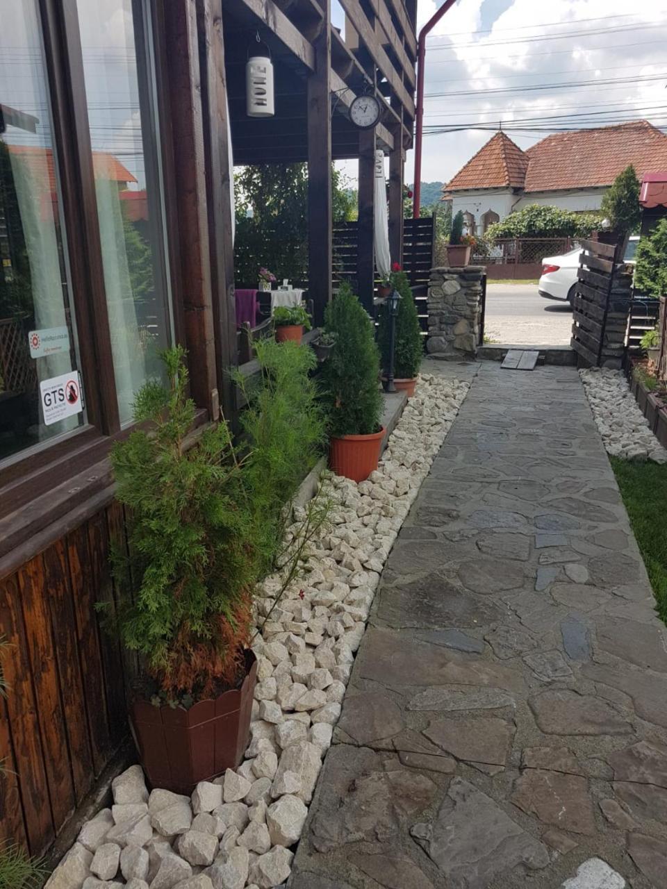 Pensiunea Valea Argesului Albestii Paminteni Dış mekan fotoğraf