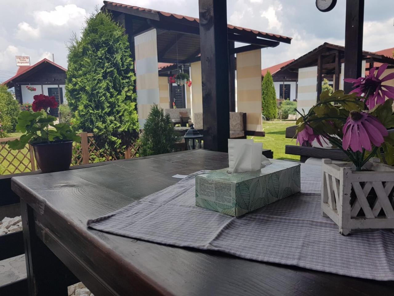 Pensiunea Valea Argesului Albestii Paminteni Dış mekan fotoğraf